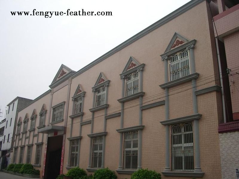 Guangdong Hongfa Import & Export Co., Ltd. 製造者の生産ライン